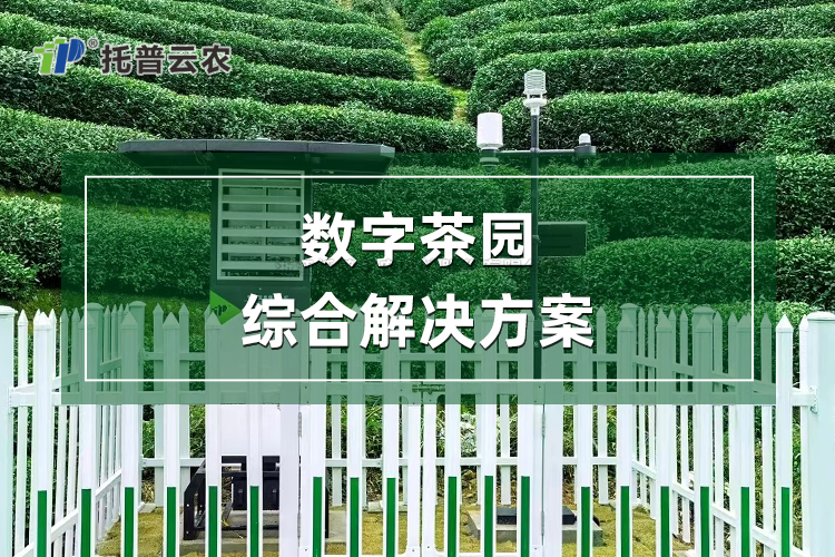 智慧茶园综合解决方案