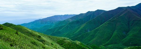 智慧护林有妙招，看太子山如何用科技守护森林