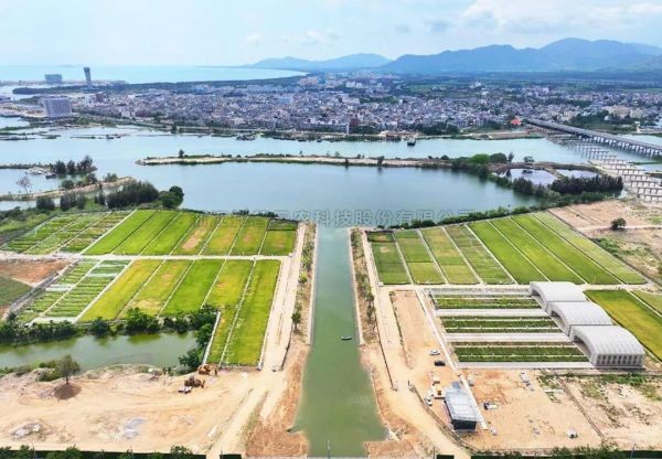 为盐碱地安上“技术芯片”，托普云农打造耐盐碱水稻科研试验基地建设解决方案