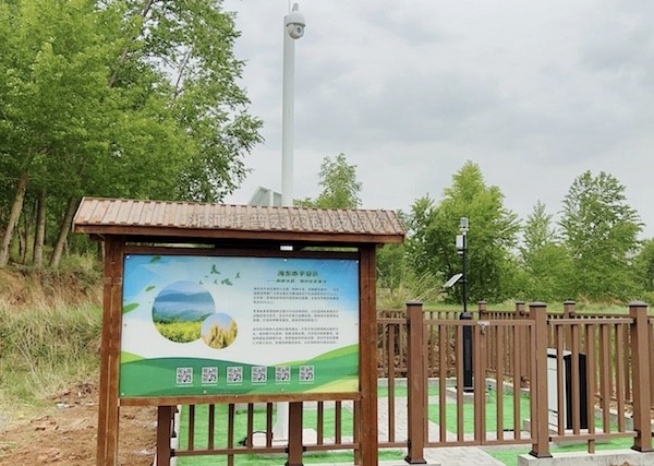 走进国家级油菜夏繁基地，感受科技赋能蓬勃动...