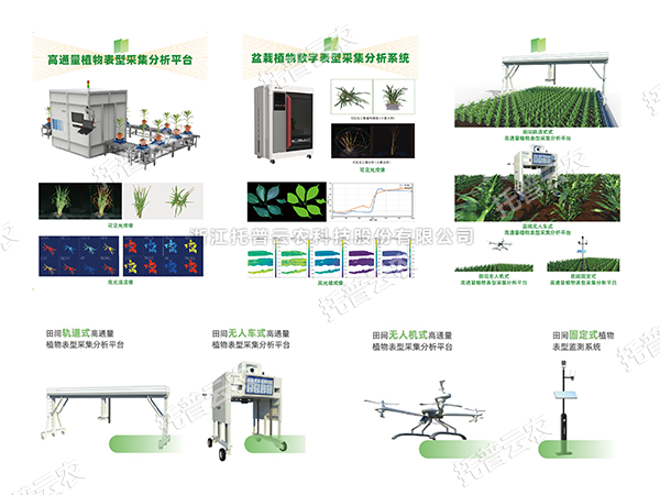 AI+农业新突破！托普高通量植物表型智能分析平台助力智慧农业创新发展