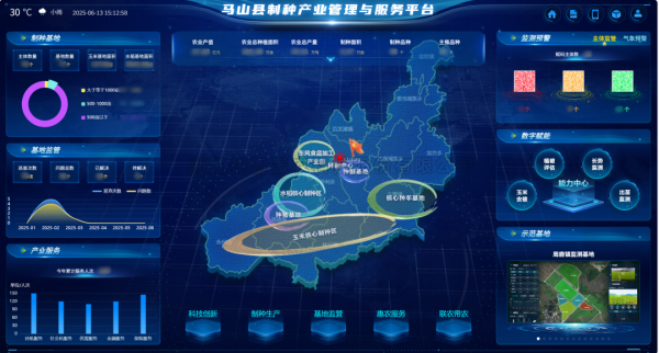 AI+农业 | 当种子植入“数智芯片”，马山县打造制种基地新标杆