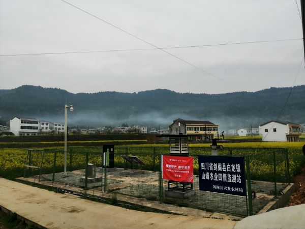 托普云农病虫害监测点