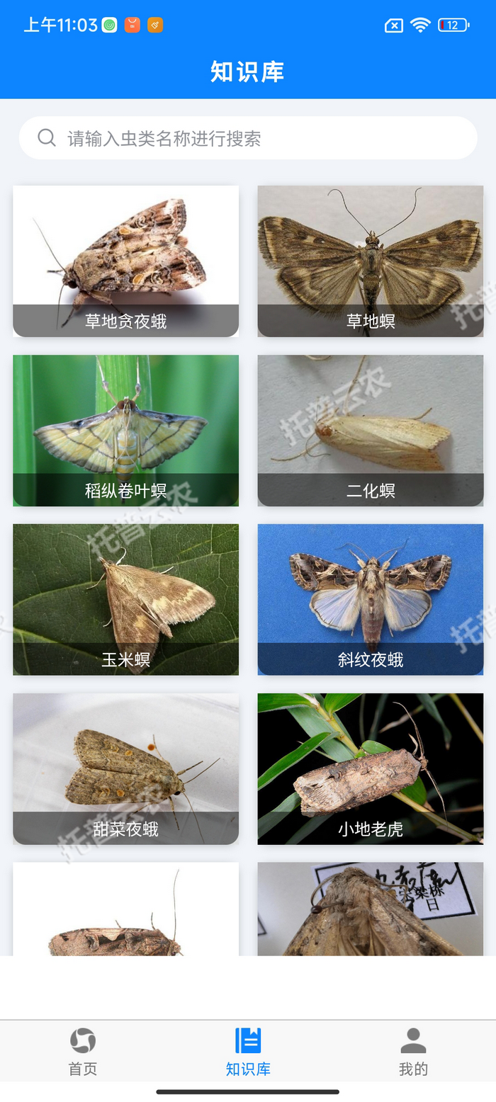 5、害虫知识库.png
